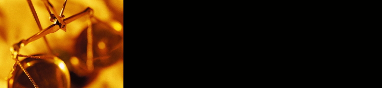 header image 3